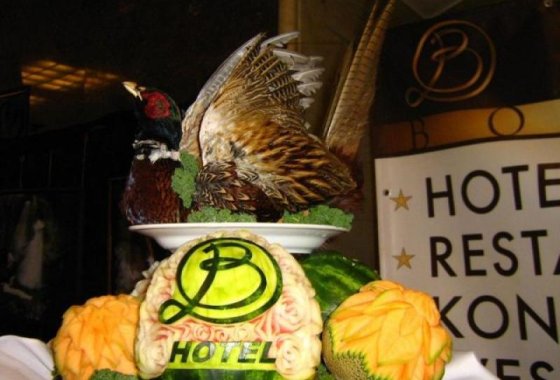 obiekt konferencyjny - Hotel Borowina - Usługi - zdjęcie 1