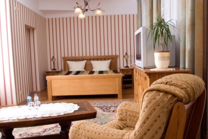 hotel *** - Hotel Janków Żary - zdjęcie 3