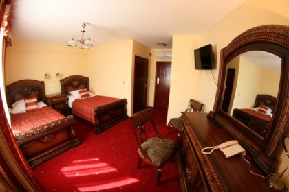 hotel *** - Hotel Daisy Superior - zdjęcie 3