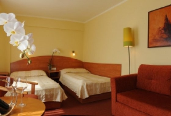 hotel - Hotel Gorzów - Pokoje - zdjęcie 2