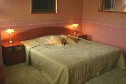 hotel *** - Hotel Restauracja Alexandra - zdjęcie 6