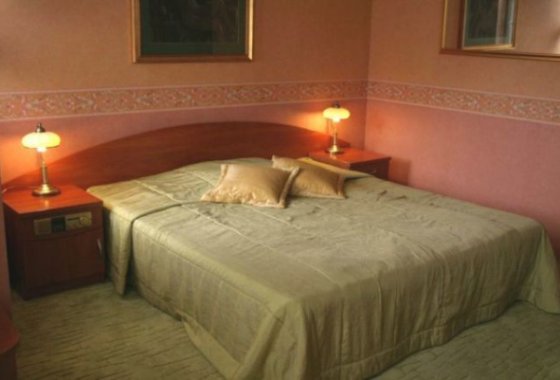 hotel *** - Hotel Restauracja Alexandra - Pokoje - zdjęcie 4