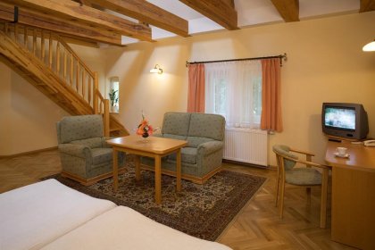 obiekt konferencyjny - Pałac Mierzęcin Wellness & Wine Resort - zdjęcie 4