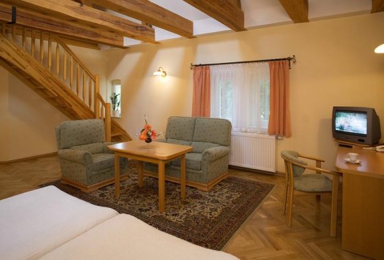 obiekt konferencyjny - Pałac Mierzęcin Wellness & Wine Resort - Pokoje - zdjęcie 1