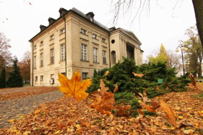 pałac - Pałac Pakosław - zdjęcie 3