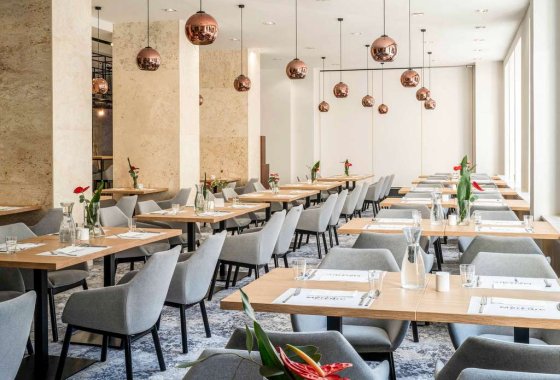 hotel *** - Hotel Mercure Opole *** - Usługi - zdjęcie 2