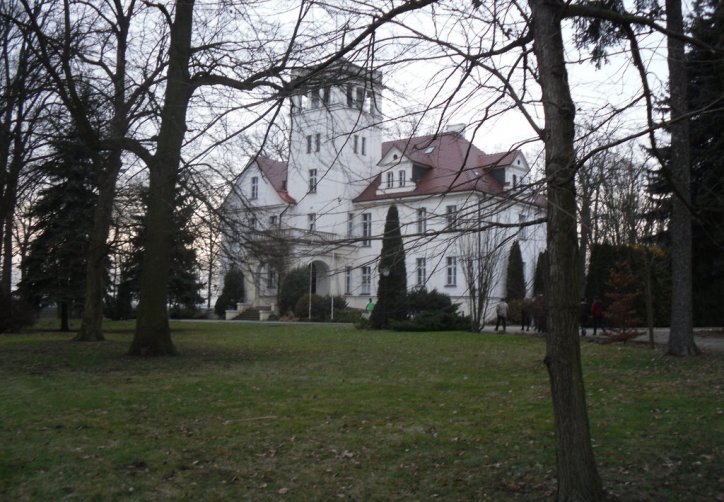 ------Pałac Przybyszewo