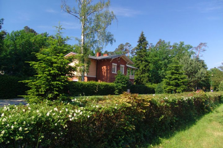 Willa Jelonek
