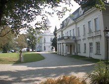 Pałac w Radziejowicach