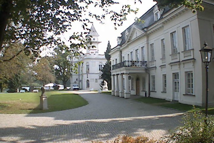 Pałac w Radziejowicach