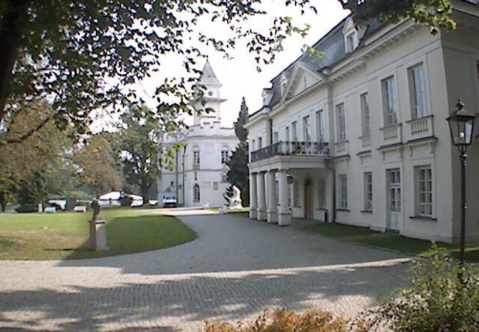pałac - Pałac w Radziejowicach