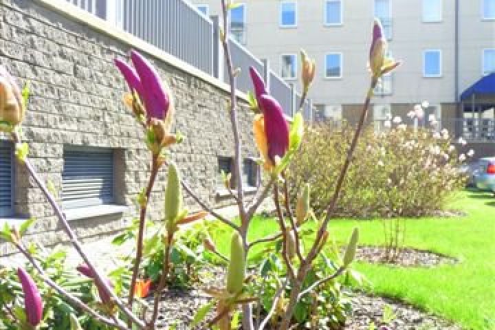 Kompleks Apartamentowy Magnolie