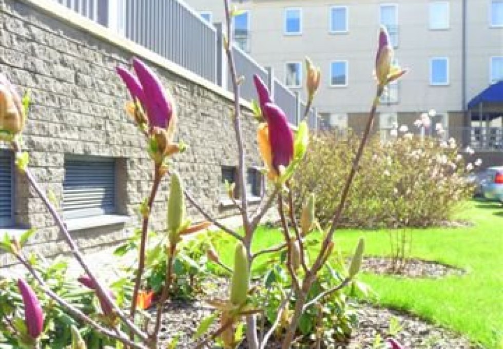hotel - Kompleks Apartamentowy Magnolie