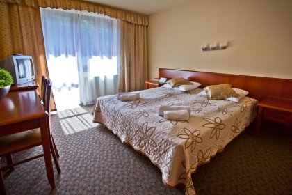 hotel *** - ***Hotel Wierchomla Ski & Spa Resort - zdjęcie 11