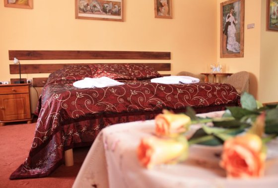 hotel - Hotel** Restauracja Jaś Wędrowniczek - Pokoje - zdjęcie 3