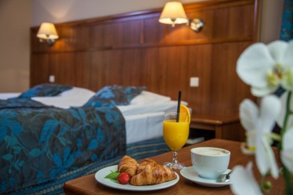 hotel *** - Farmona Hotel Business & SPA - zdjęcie 11