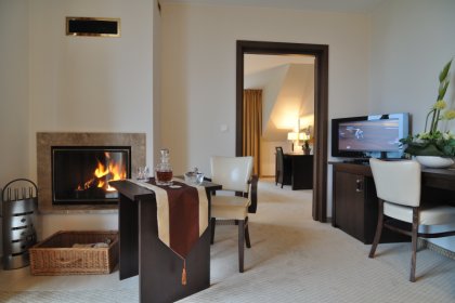 hotel - Hotel & SPA 4 Pory Roku - Krynica Zdrój - zdjęcie 7