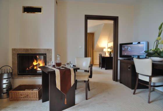 hotel - Hotel & SPA 4 Pory Roku - Krynica Zdrój - Pokoje - zdjęcie 2