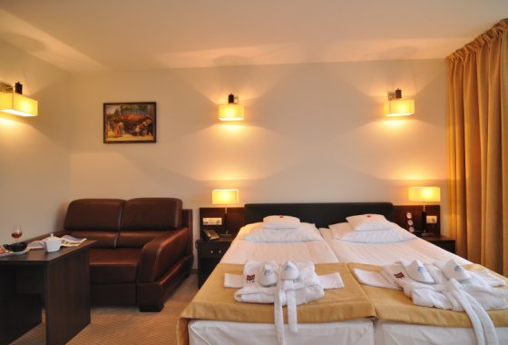 hotel - Hotel & SPA 4 Pory Roku - Krynica Zdrój - Pokoje - zdjęcie 3