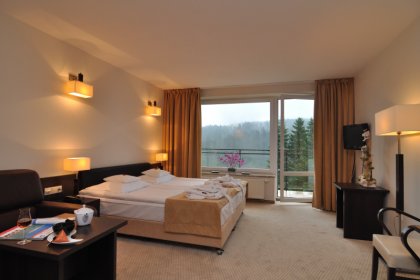 hotel - Hotel & SPA 4 Pory Roku - Krynica Zdrój - zdjęcie 8