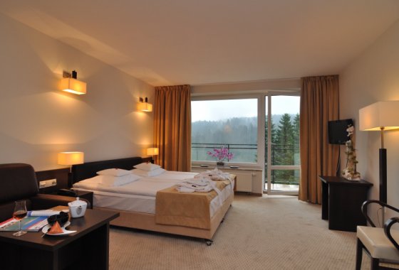 hotel - Hotel & SPA 4 Pory Roku - Krynica Zdrój - Pokoje - zdjęcie 1