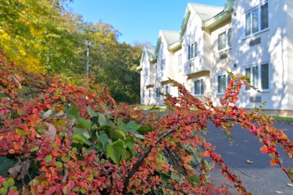 hotel *** - Hotel HP Park Poznań *** - zdjęcie 7