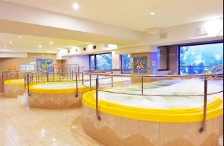 hotel **** - Hotel Gołębiewski Wisła - zdjęcie 1 