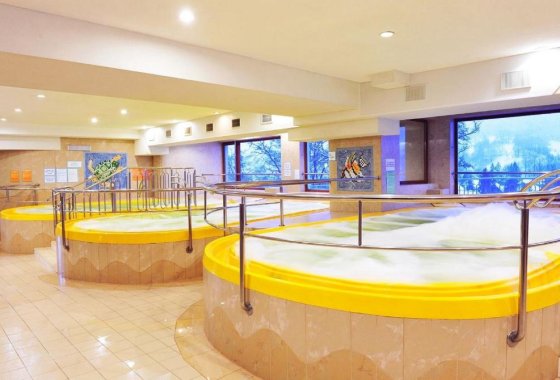 hotel **** - Hotel Gołębiewski Wisła - Usługi - zdjęcie 1
