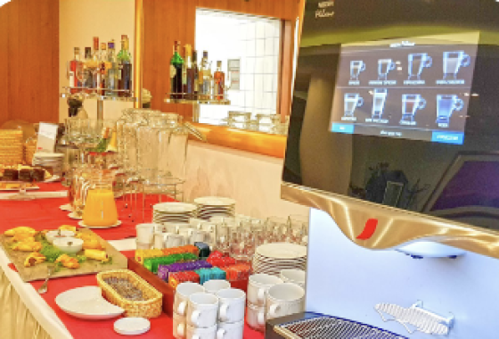 hotel **** - Hotel Amaryllis *** - Usługi - zdjęcie 1