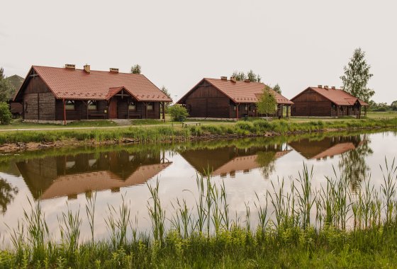 inny - Centrum Aktywnego Wypoczynku Borek - Pokoje - zdjęcie 6
