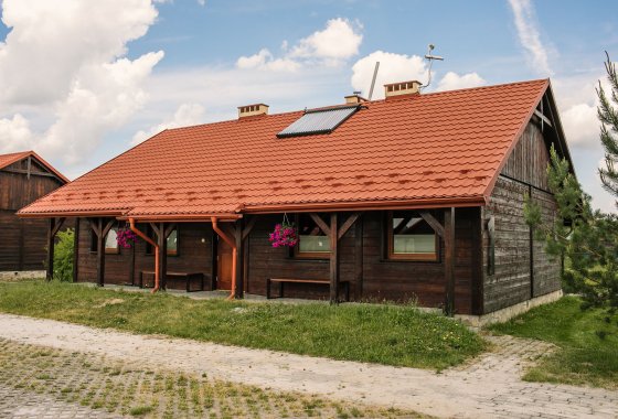 inny - Centrum Aktywnego Wypoczynku Borek - Pokoje - zdjęcie 1