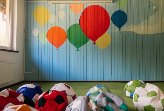 inny - Centrum Aktywnego Wypoczynku Borek - Usługi - zdjęcie 13