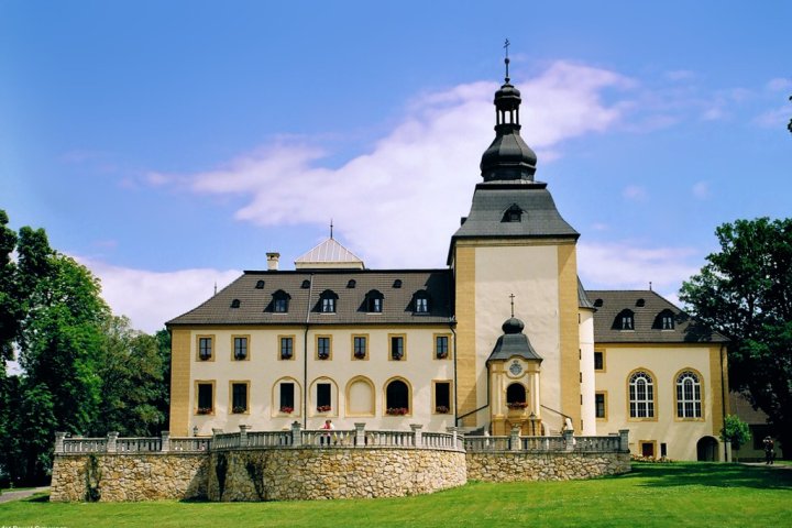 Zamek w Kamieniu Śląskim