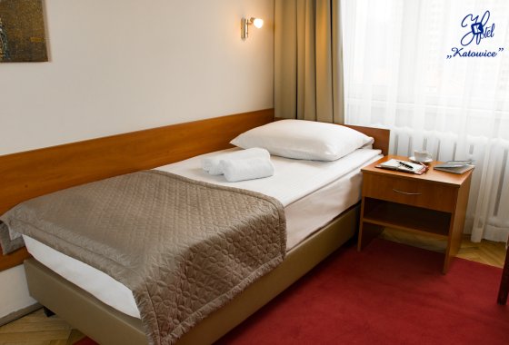 hotel - Hotel Katowice*** - Pokoje - zdjęcie 18