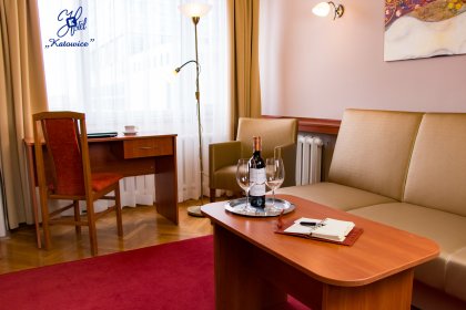 hotel - Hotel Katowice*** - zdjęcie 19