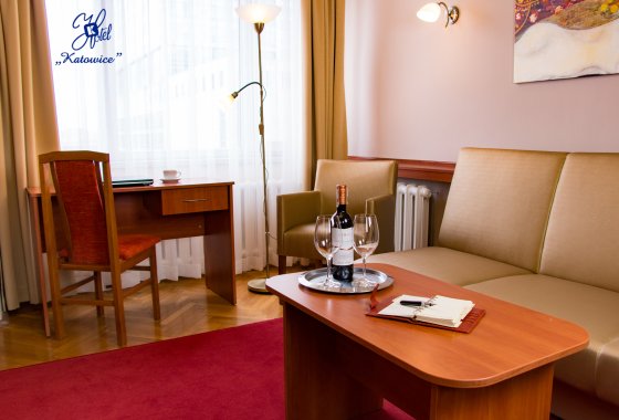 hotel - Hotel Katowice*** - Pokoje - zdjęcie 14
