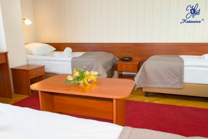 hotel - Hotel Katowice*** - zdjęcie 21