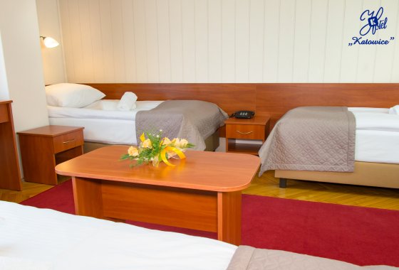 hotel - Hotel Katowice*** - Pokoje - zdjęcie 12