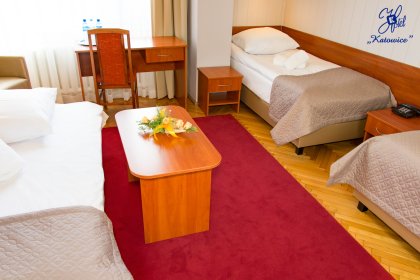 hotel - Hotel Katowice*** - zdjęcie 22