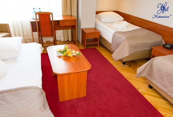 hotel - Hotel Katowice*** - Pokoje - zdjęcie 11