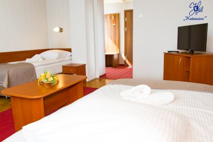 hotel - Hotel Katowice*** - zdjęcie 23