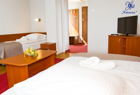 hotel - Hotel Katowice*** - Pokoje - zdjęcie 10
