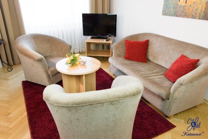 hotel - Hotel Katowice*** - zdjęcie 14