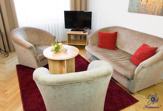 hotel - Hotel Katowice*** - Pokoje - zdjęcie 8
