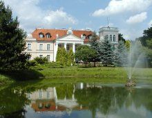 Pałac Gębice