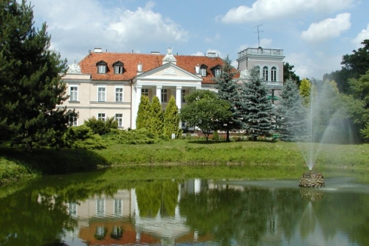 Pałac Gębice
