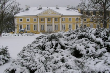 pałac - Pałac Racot - zdjęcie 3