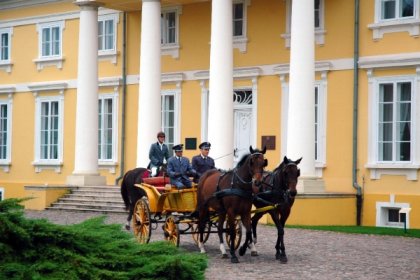 pałac - Pałac Racot - zdjęcie 8