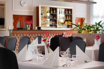 hotel *** - Hotel Perła Leśna - zdjęcie 17