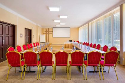 hotel *** - Hotel Perła Leśna - zdjęcie 8